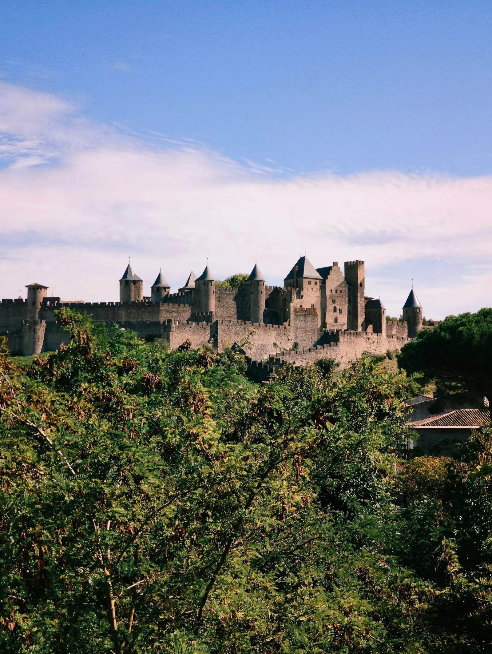 Les remparts et les tours de la cité médiévale de Carcassonne au-dessus des arbres