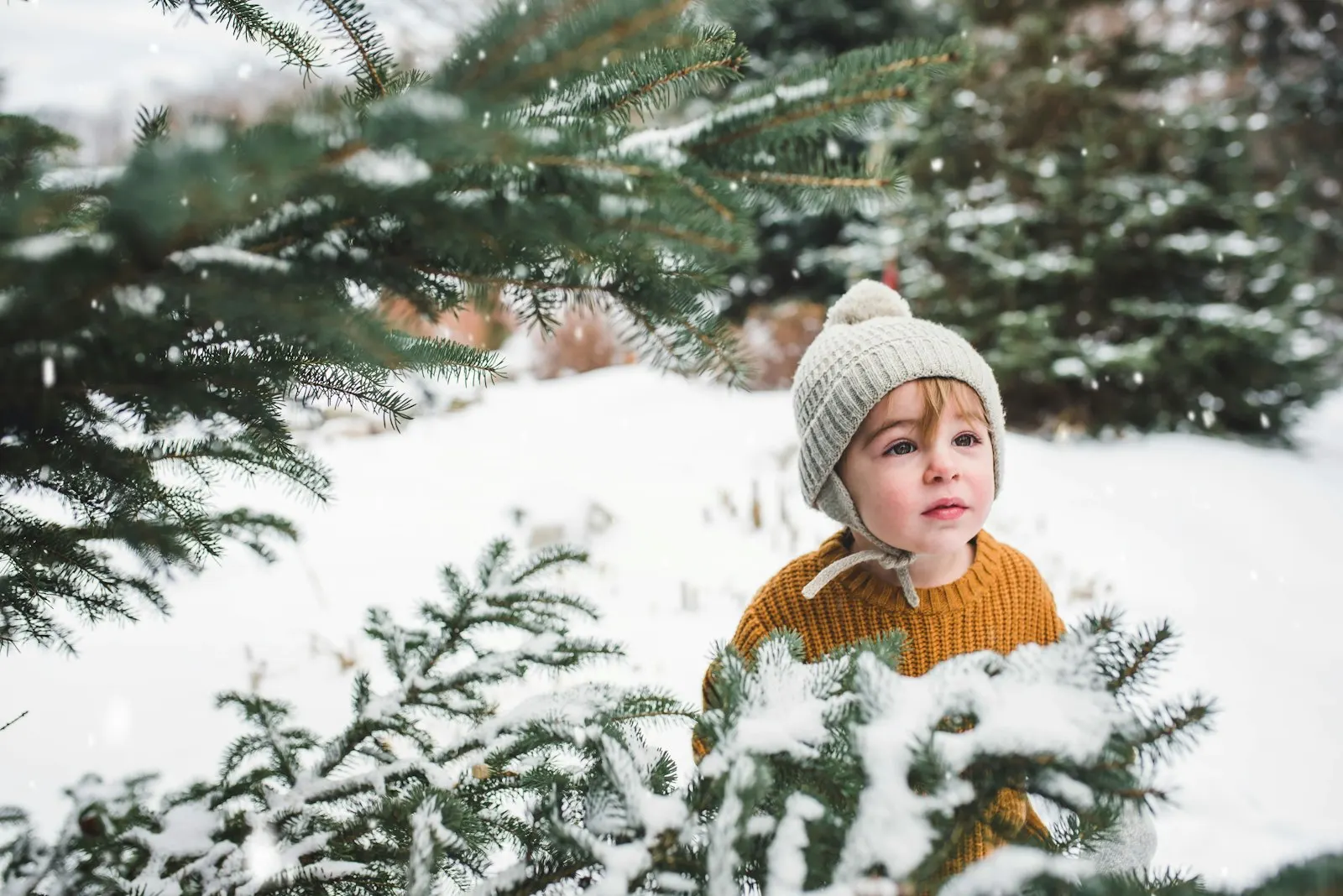 Un jeune enfant en bonnet de laine et pull jaune au milieu de sapins enneigés