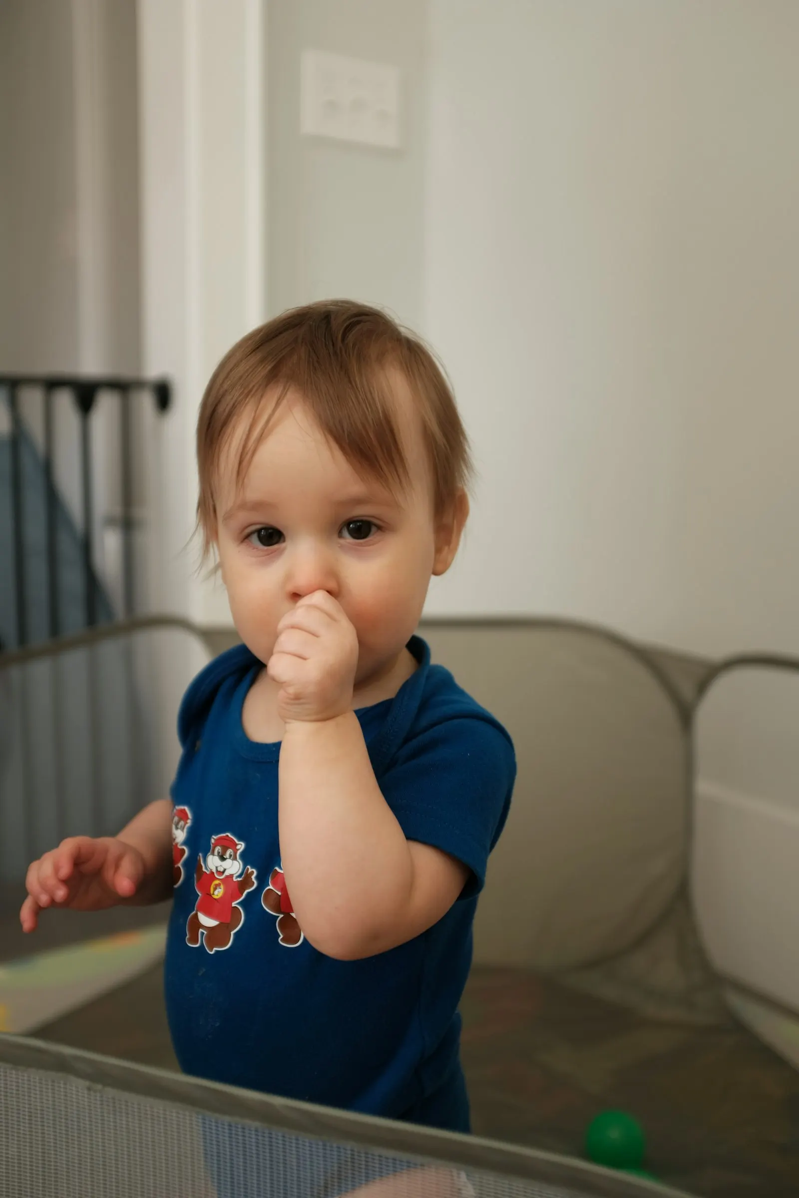 Un jeune enfant en t-shirt bleu debout dans un parc pliant