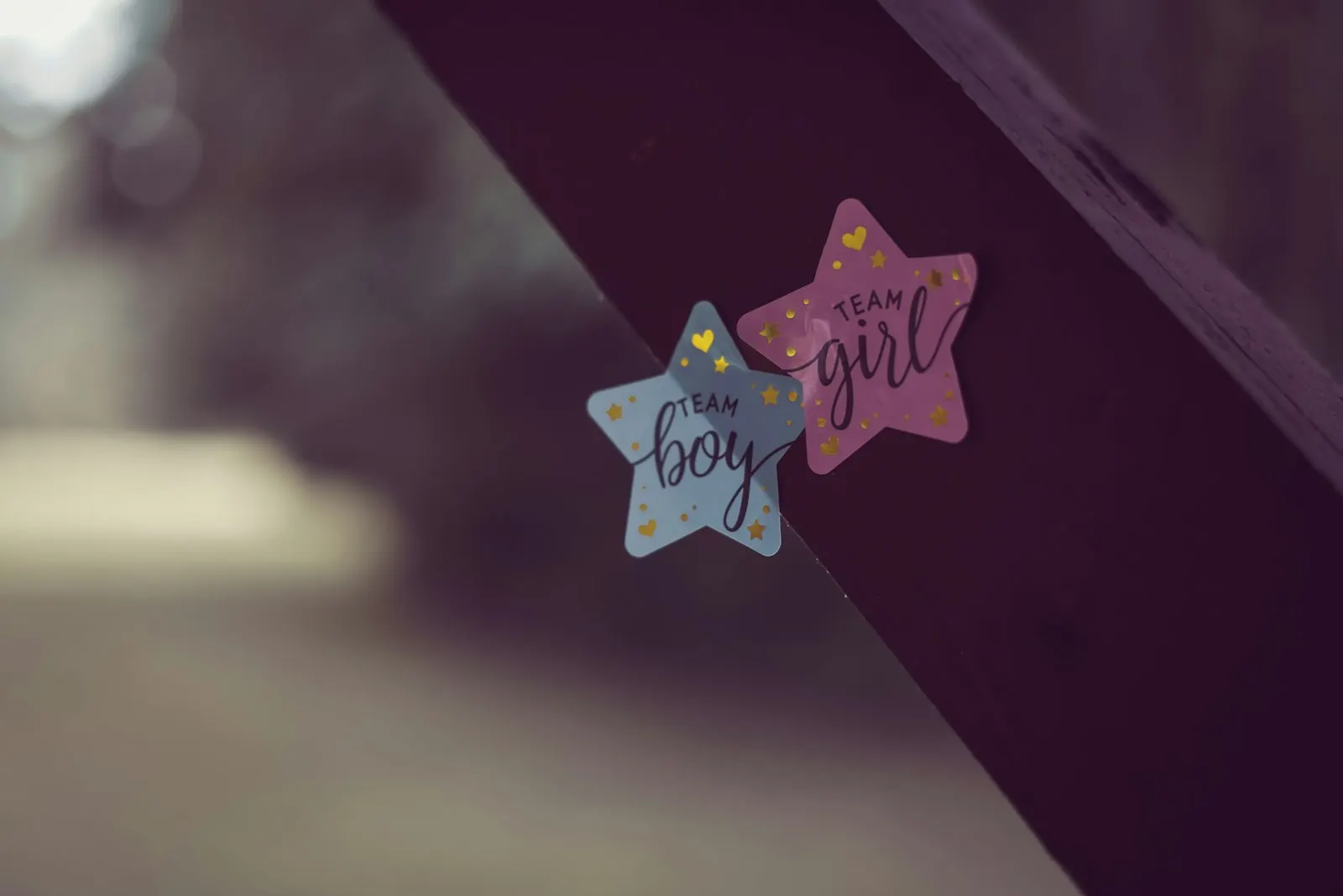 Deux autocollants en forme d'étoile, l'un bleu « Team boy », l'autre rose « Team girl »