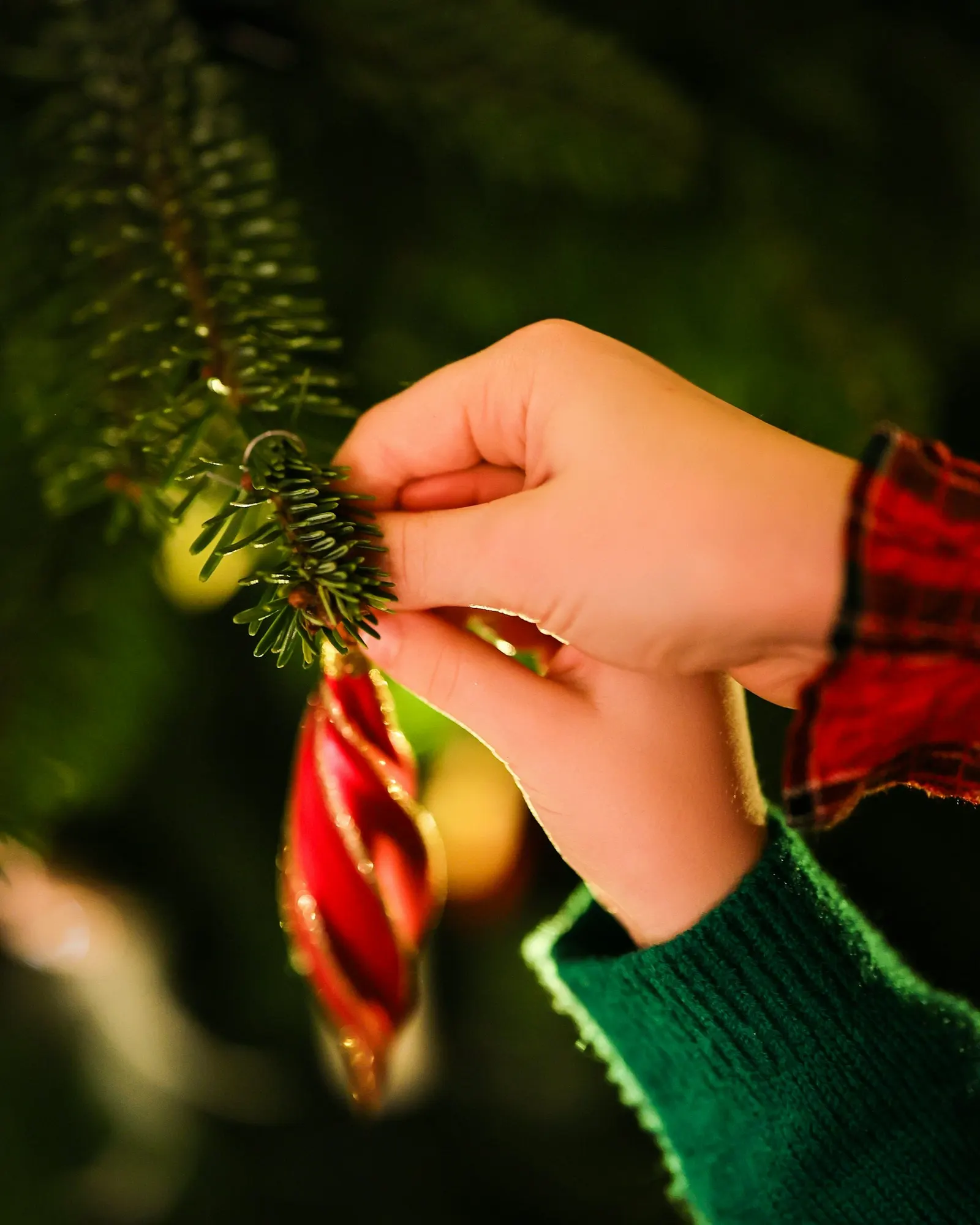 Deux mains d'enfant en pull vert accrochent une décoration rouge à une branche de sapin