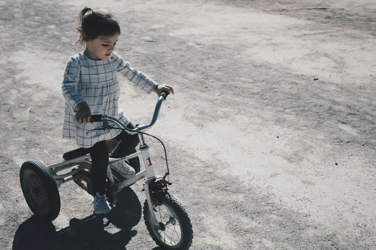 Une petite fille roule sur un tricycle dans un jardin